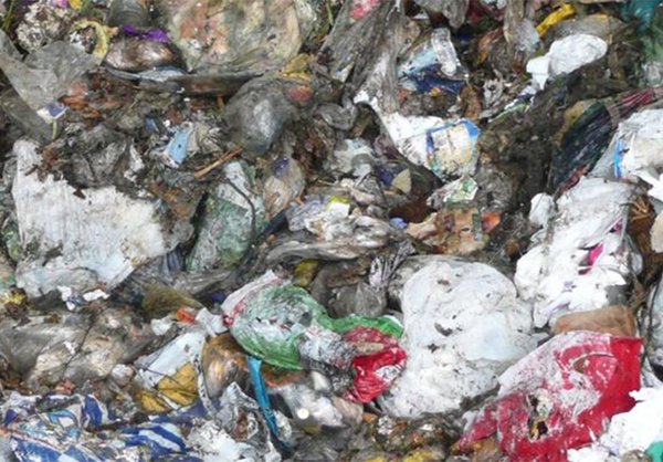 Nicht definierbare, vergammelte Abfälle in zerfetzten Plastiktüten